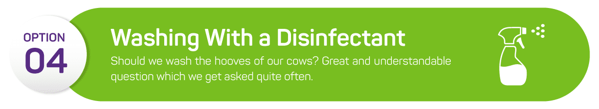 dhc blog post how to stop cow hooves from smelling4