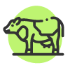 cow icon