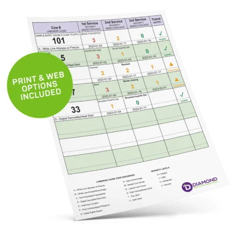 Record Keeping Worksheet — print and web-ready herd record tracking for livestock owners