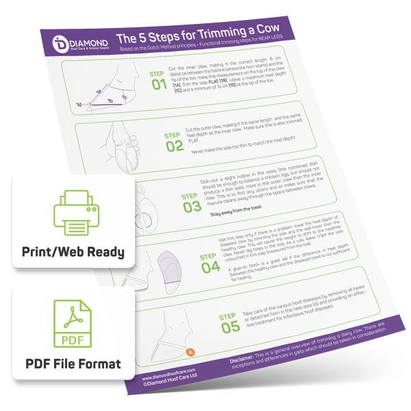5 Steps to Trim Cheat Sheet — learn how to trim a cow in 5 steps with helpful diagrams