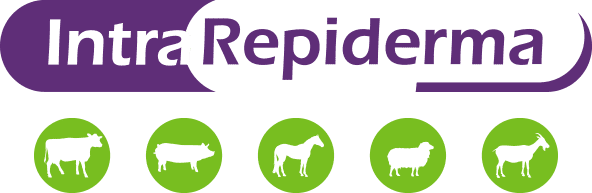 Intra Repiderma spray for all farm animals.