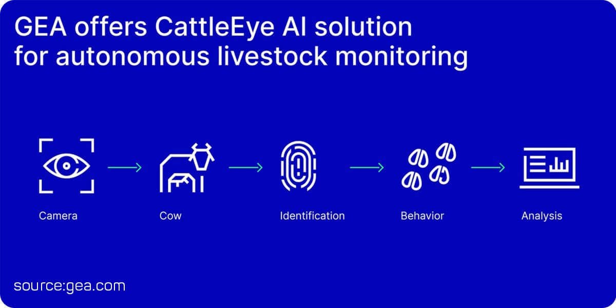 GEA CattleEye AI solution for livestock monitoring and lameness detection