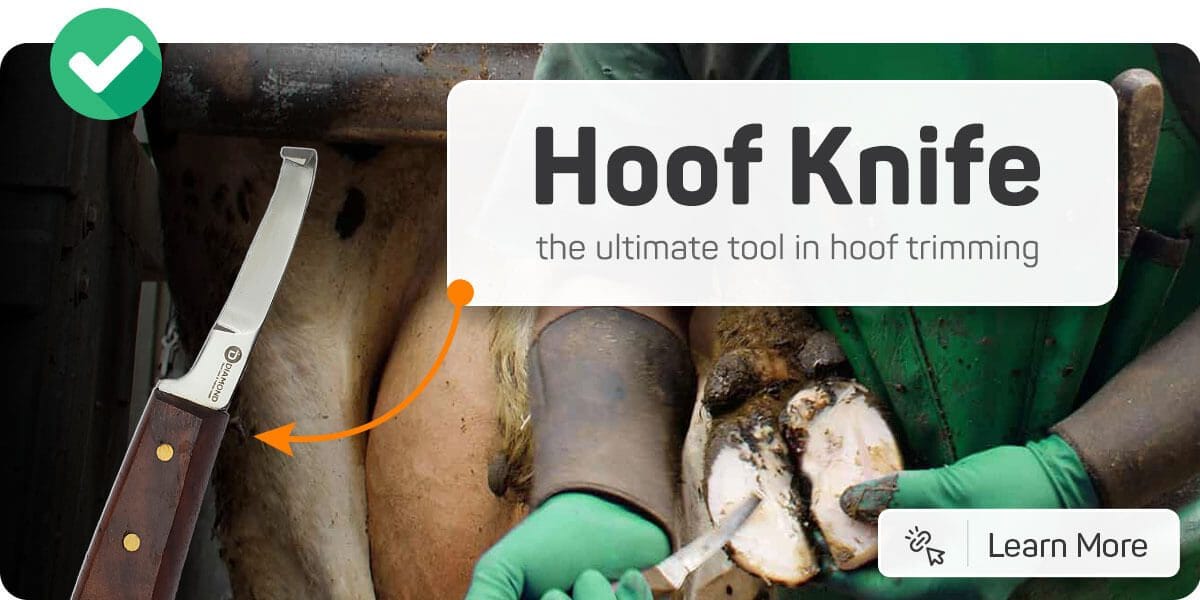 Hoof knife, the essential tool in professional hoof trimming
