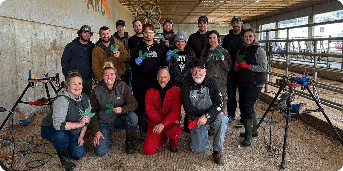 Hoof trimmers course participants learning hands-on techniques