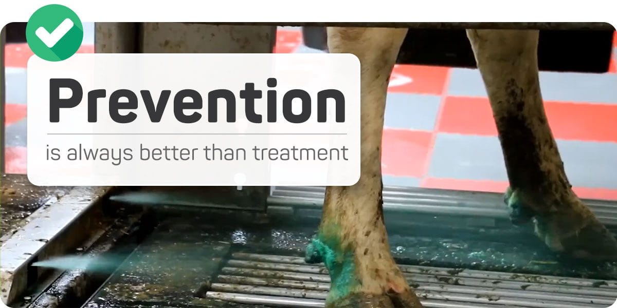 Prevention is always better than treatment.