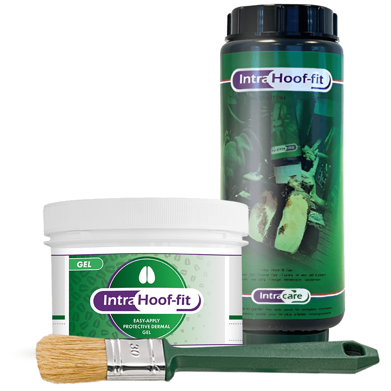 hoof fit gel for cows